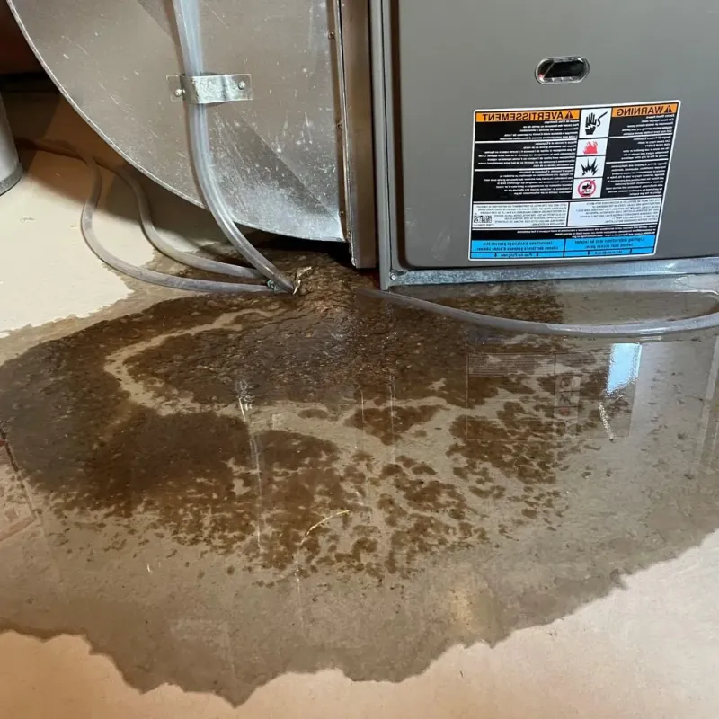 Pipe Burst and Leak Restoration in Barre, MA