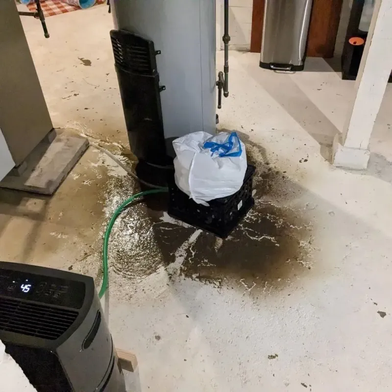 Sewage Backup Cleanup Service in Barre, MA